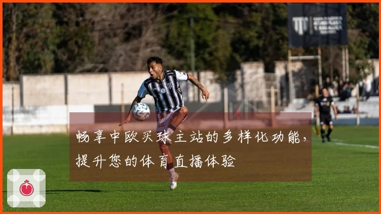 畅享中欧买球主站的多样化功能，提升您的体育直播体验