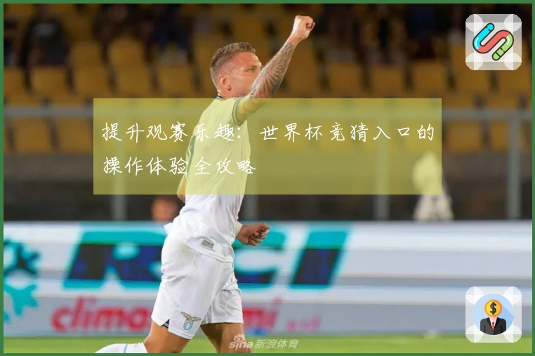 提升观赛乐趣：世界杯竞猜入口的操作体验全攻略