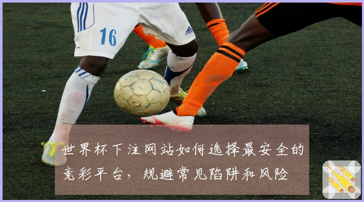 世界杯下注网站如何选择最安全的竞彩平台，规避常见陷阱和风险