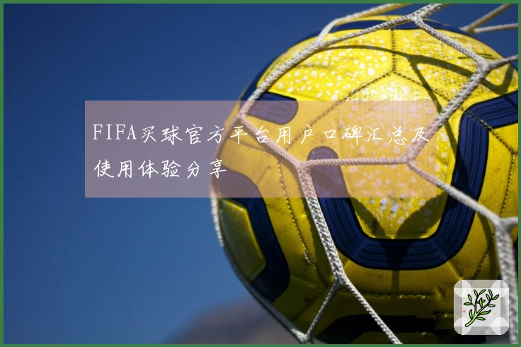 FIFA买球官方平台用户口碑汇总及使用体验分享